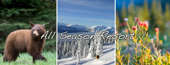 allseason