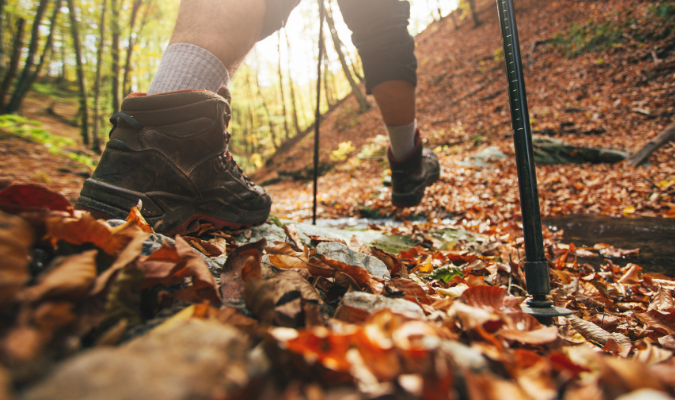 fall Hiking in Whister