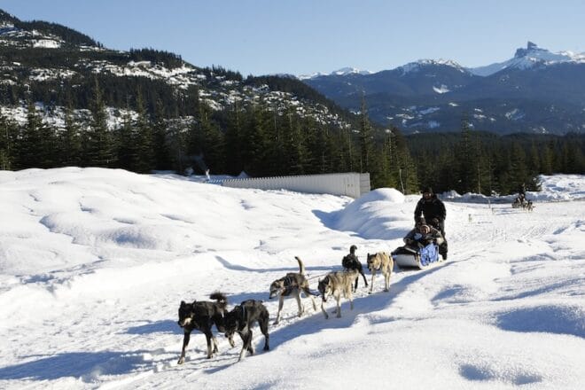 How to Book a Whistler Dogsled Adventure