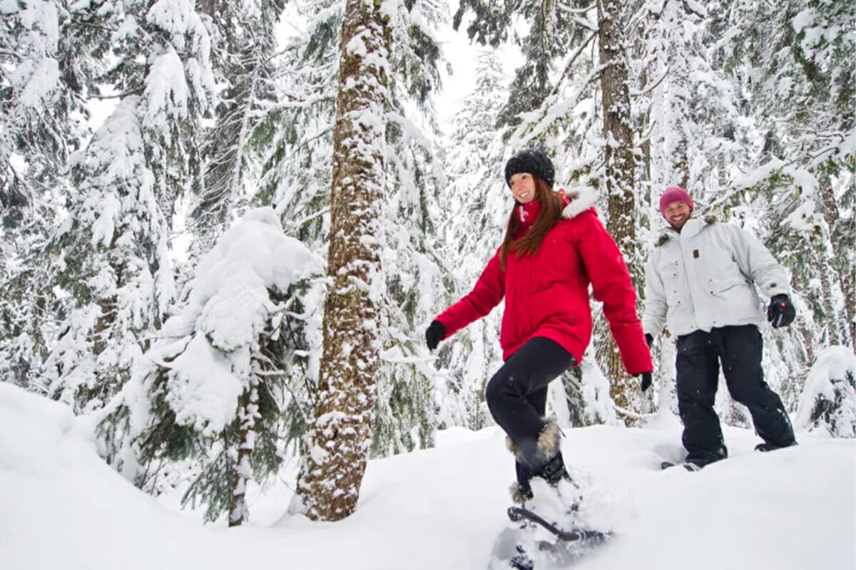 Snowshoe Tours in Whistler BC. Book with Whistler Reservations today!