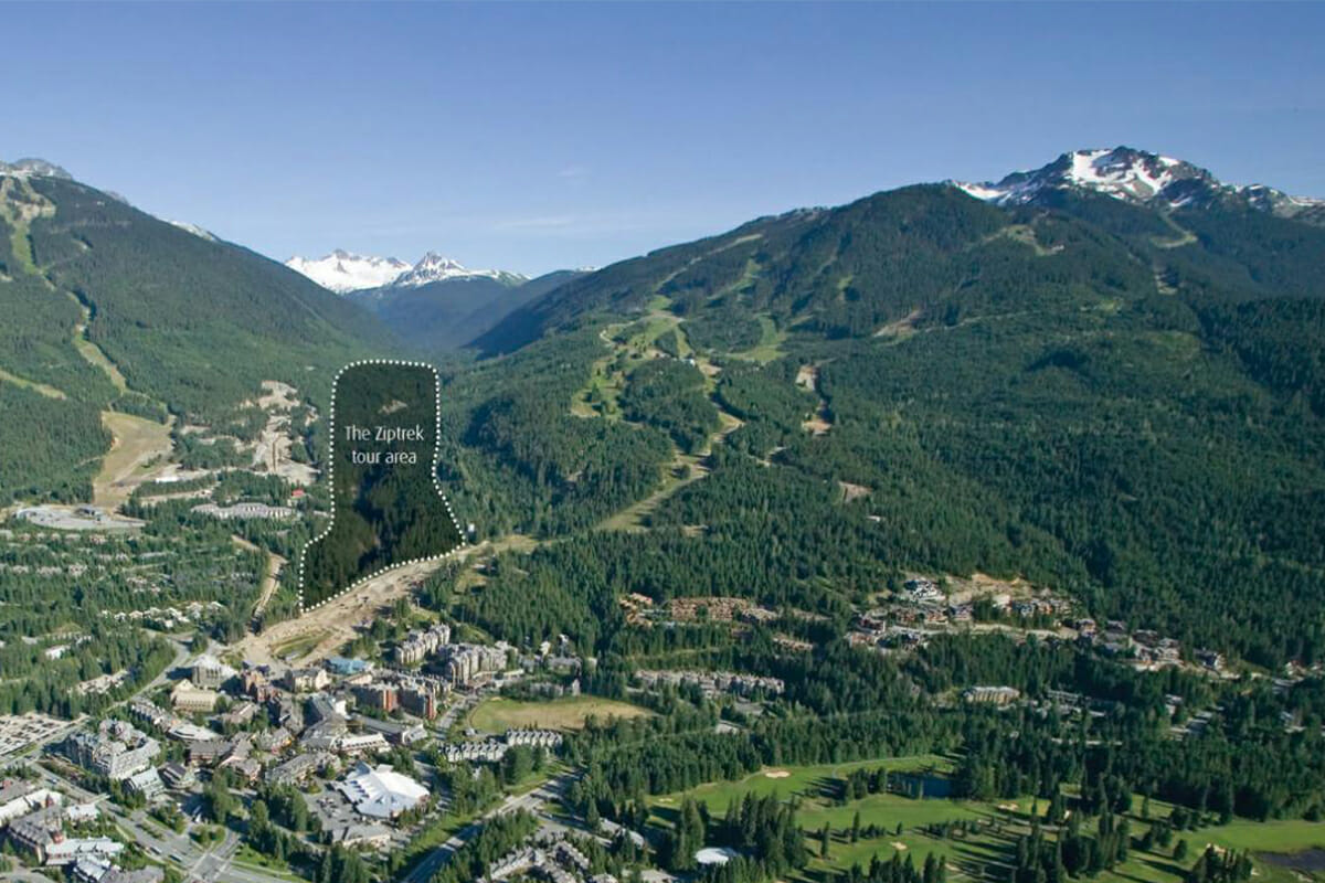 Ziptrek Eco Tours in the summer in Whistler, BC. Book with Whistler Reservations today!
