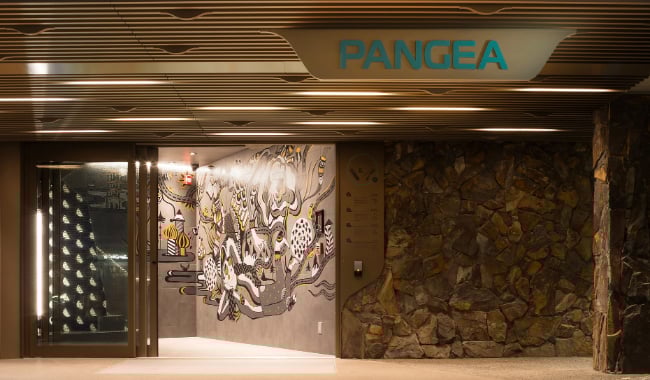Pangea Pod Hotel Pangea Pod Hotel Main Entrance