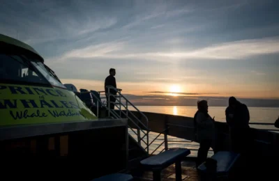 081917_PrinceofWhales2017_DevinManky_1832-medium