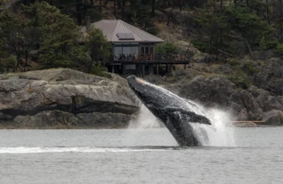 A18I0341-Enhanced-NR-medium