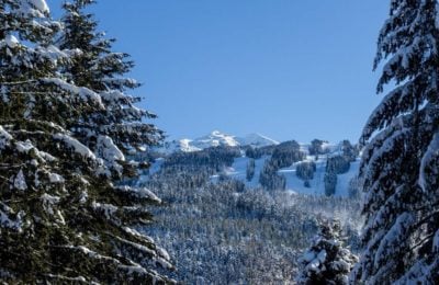 Snowshoe Tours Whistler - small