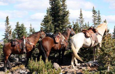 copper-cayuse-outfitters-whistler-horsebackriding7