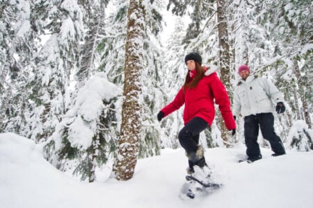 medicine-trail-snowshoe