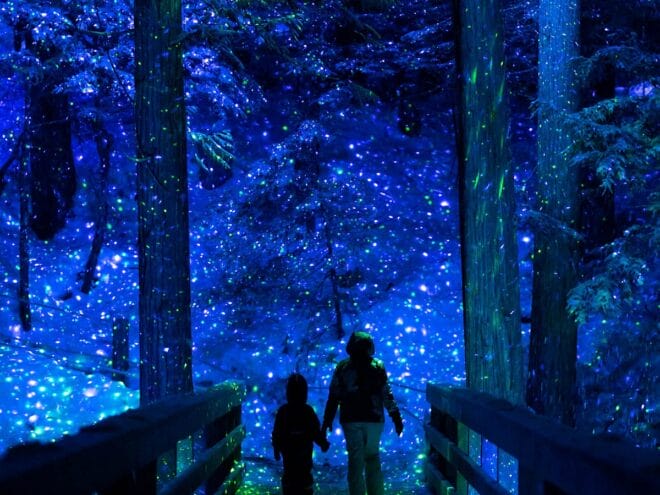 Family Fuun at Vallea Lumina